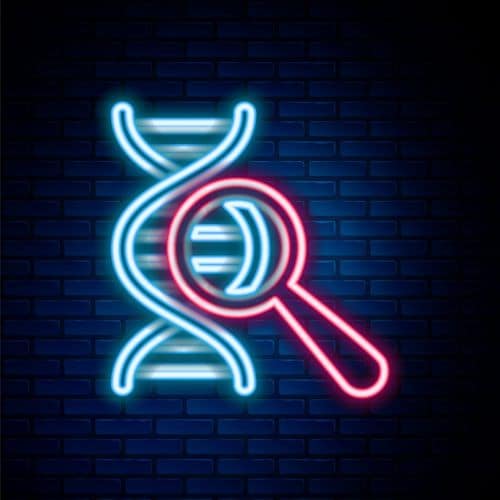 Glowing neon line DNA research, search icon isolated on brick wall background. Magnifying glass and dna chain. Genetic engineering, cloning, paternity testing. Colorful outline concept.