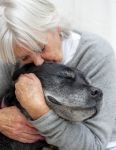 Elderly woman hugs her very old dog concept.